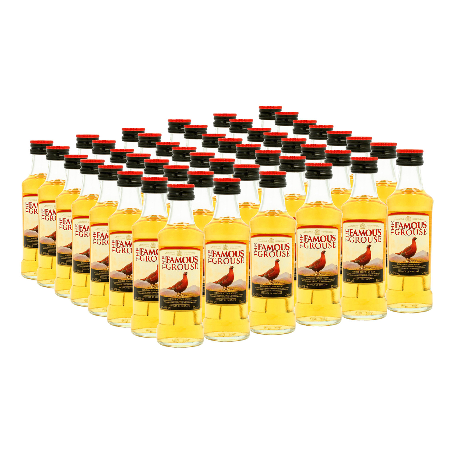 Famous Grouse 48x 0.05L (40% Vol.)