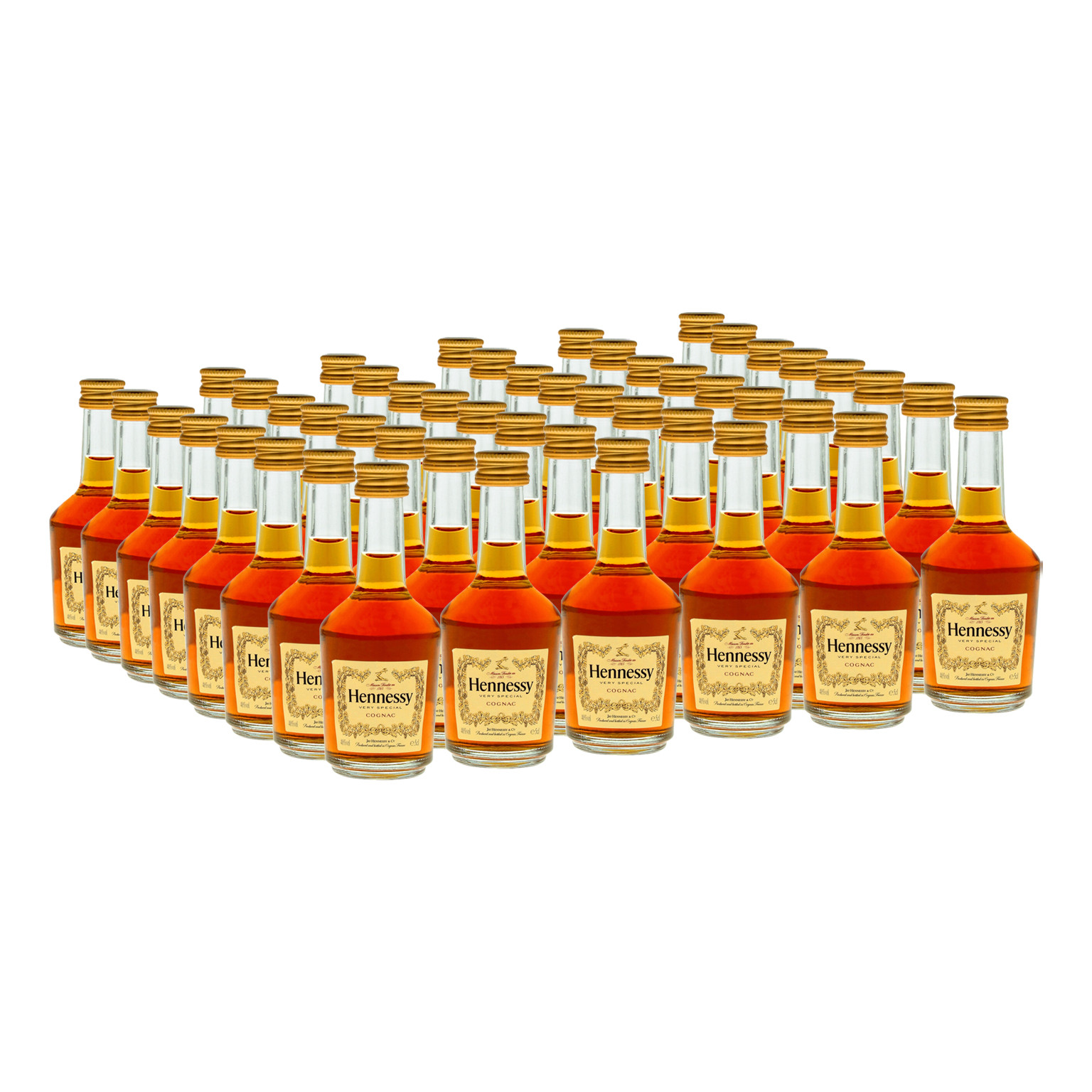 Hennessy VS 48x 0,05L (40% Vol.)